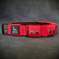 Weighted Dog Training Collar | Red | Removable Weights | S, M & L