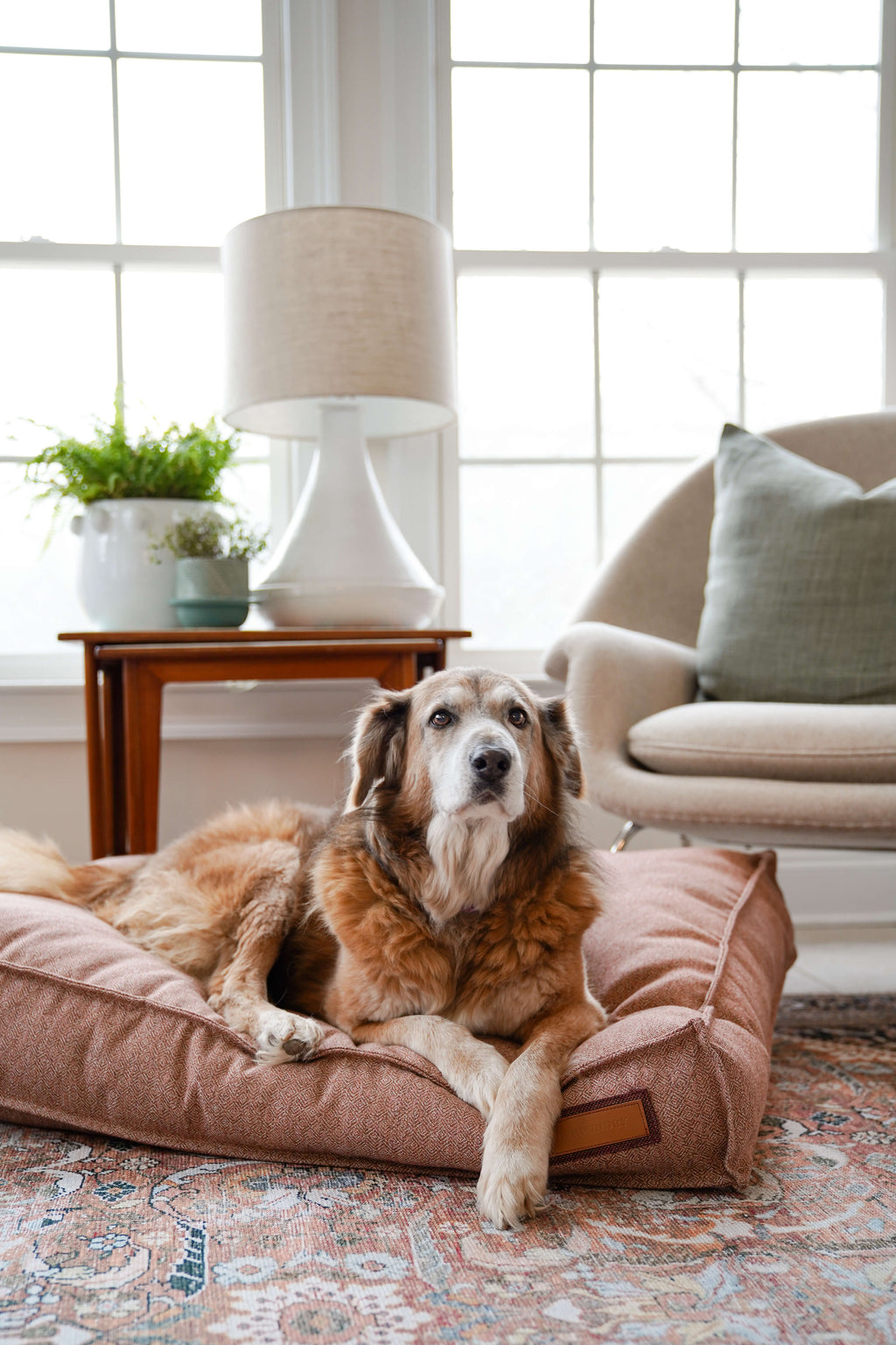 Luxury Lounger Dog Bed | Pittie Pink | Handmade in USA | Small to XL