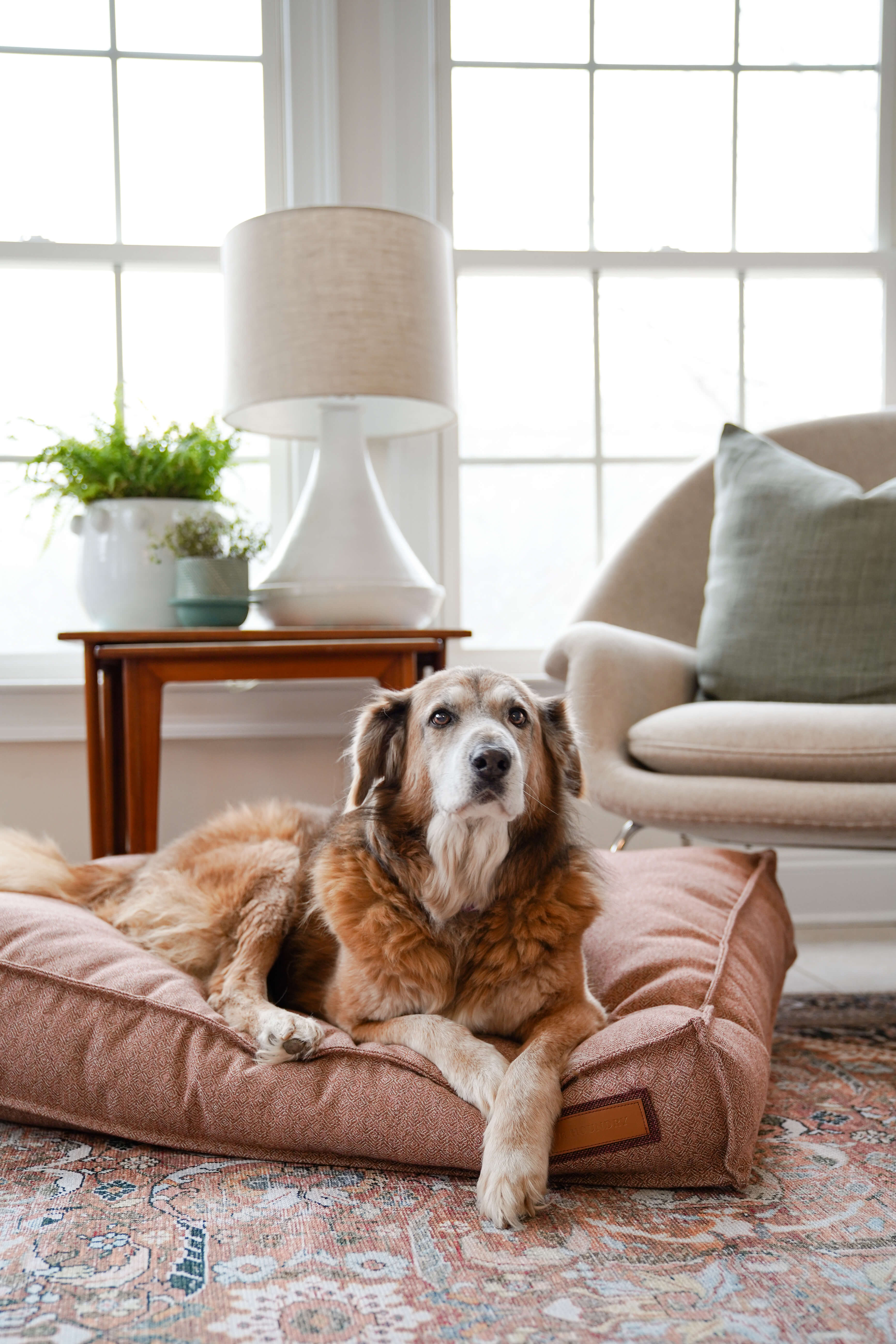 Luxury Lounger Dog Bed | Pittie Pink | Handmade in USA | Small to XL