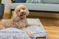 Luxury Lounger Dog Bed | Sapphire Spaniel | Handmade in USA | Small to XL