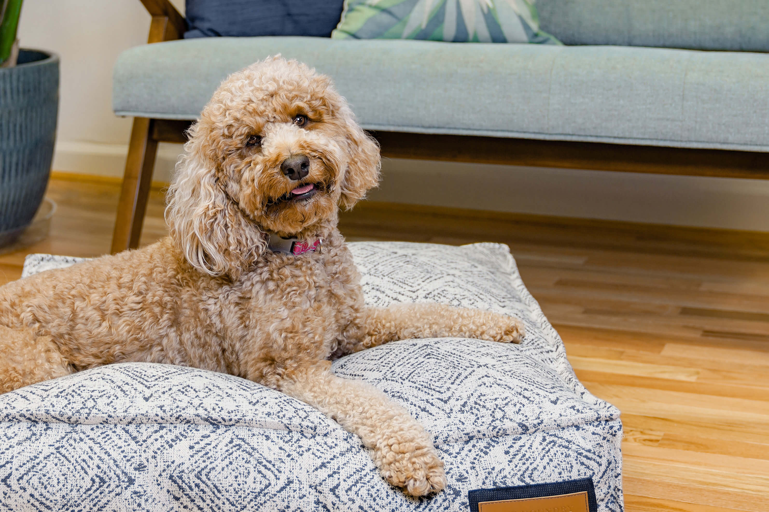 Luxury Lounger Dog Bed | Sapphire Spaniel | Handmade in USA | Small to XL