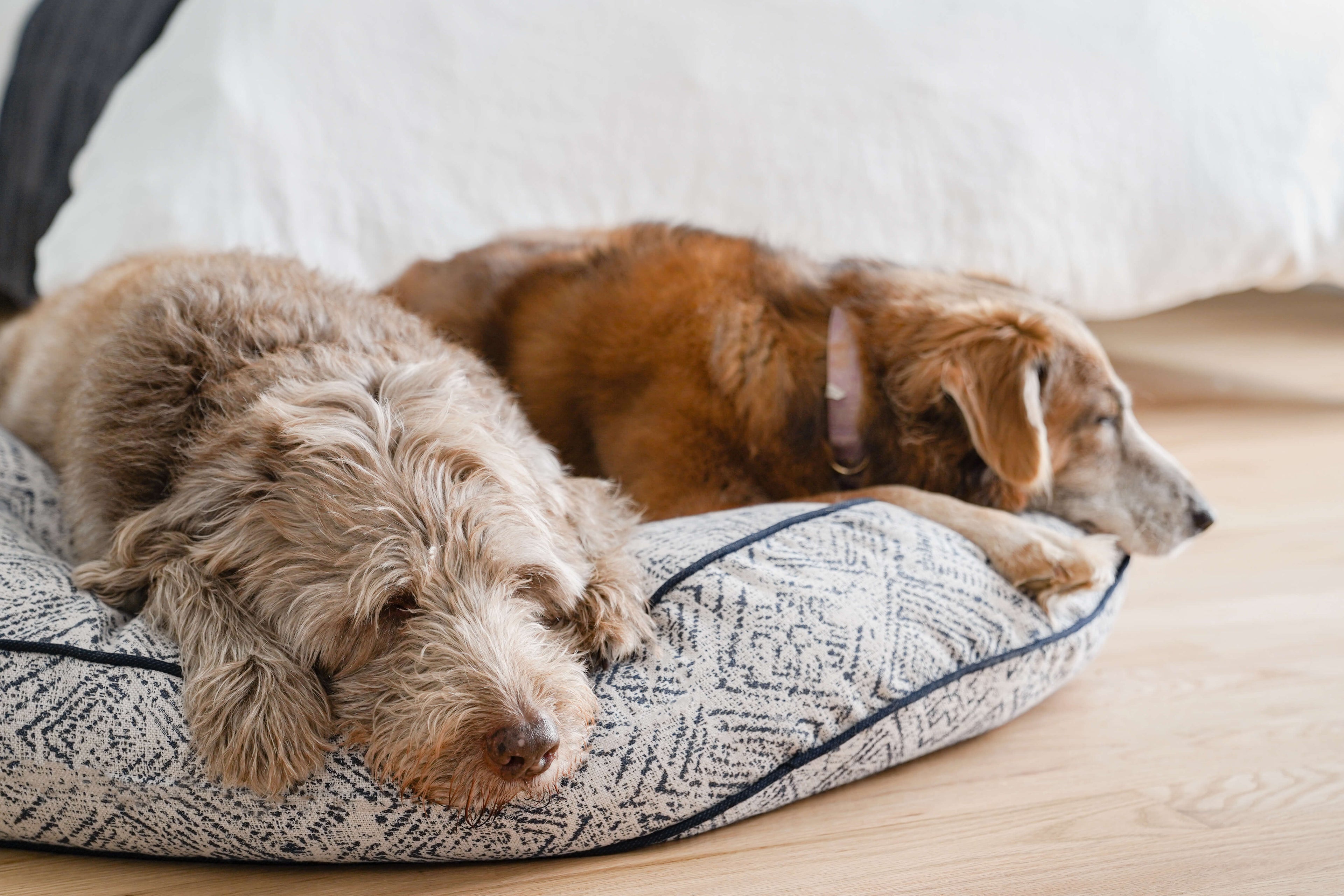 Luxury Round Dog Bed | Sapphire Spaniel | Handmade in USA | Small to XL